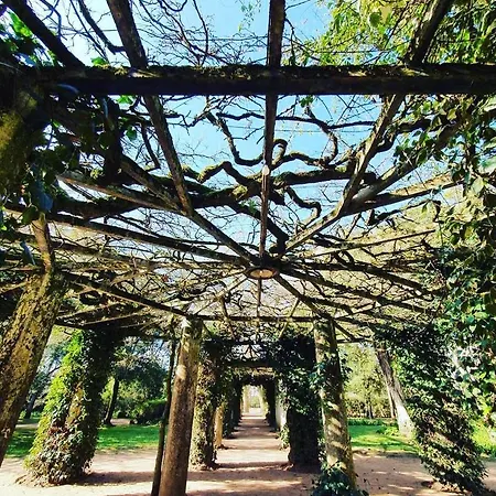 Bordallo's - Centro Apartament *