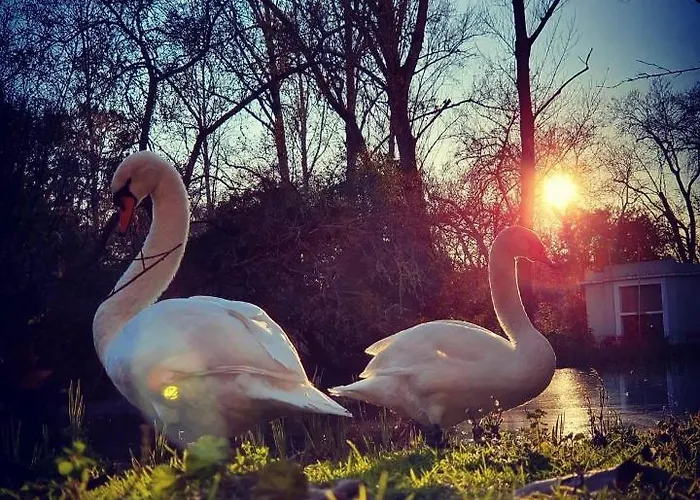 Bordallo's - Centro Lejlighed *