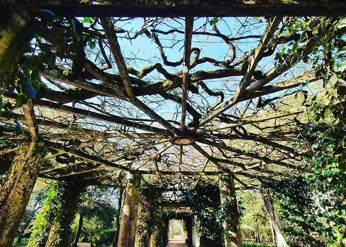 Bordallo's - Centro Lejlighed *