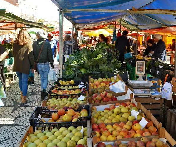 Lejlighed Bordallo's - Centro Caldas Da Rainha